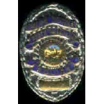 SOUTH PASADENA, CA POLICE DEPARMENT BADGE PIN